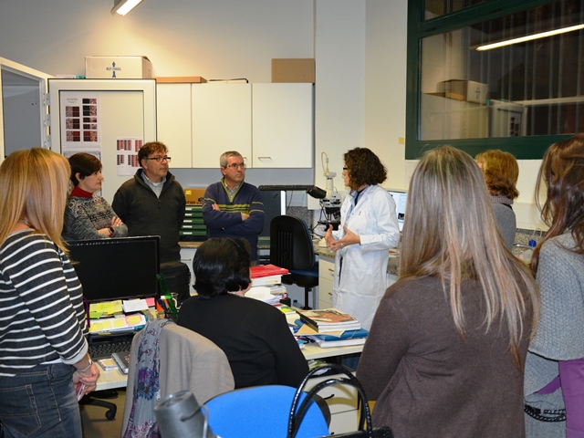 Curs de formació del professorat. “Els plaers a l’Antiguitat” (professorat)